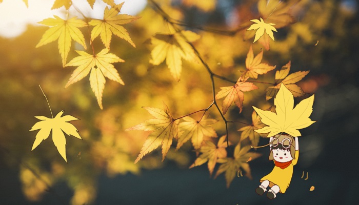 貨拉拉“**擾門”進展：與女用戶和解 警方介入調查